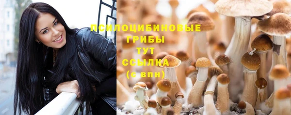 кристаллы Ладушкин
