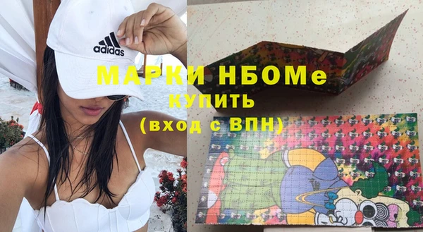 твердый Лагань