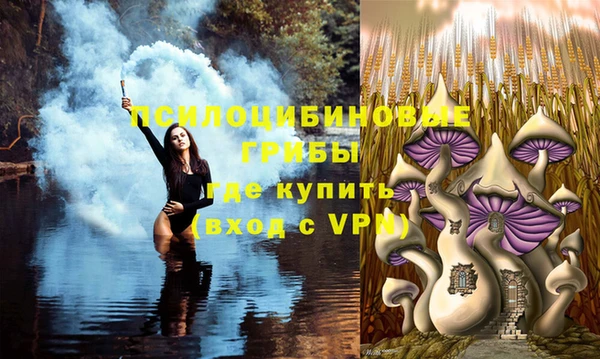 синтетический гашиш Лабытнанги