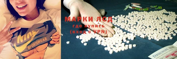 твердый Лагань