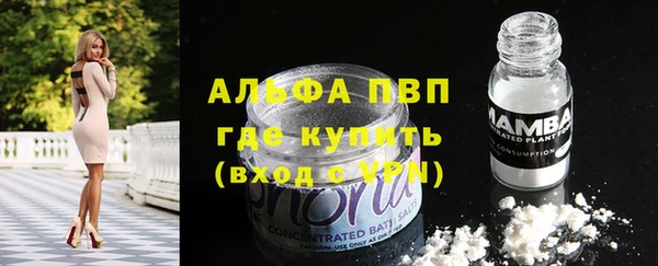 твердый Лагань