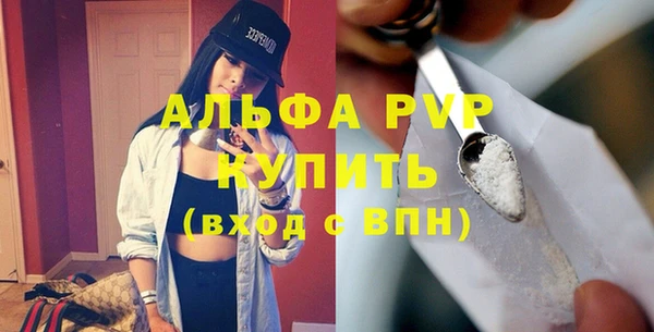 твердый Лагань