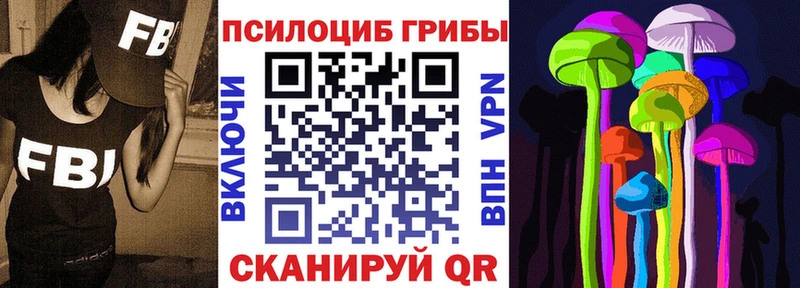 Галлюциногенные грибы Psilocybe  Купить закладки  Сысерть 